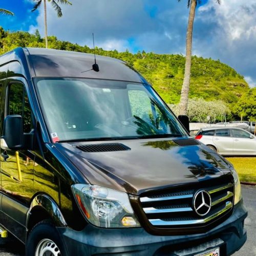 Oahu Luxury Transportation- Private Tours