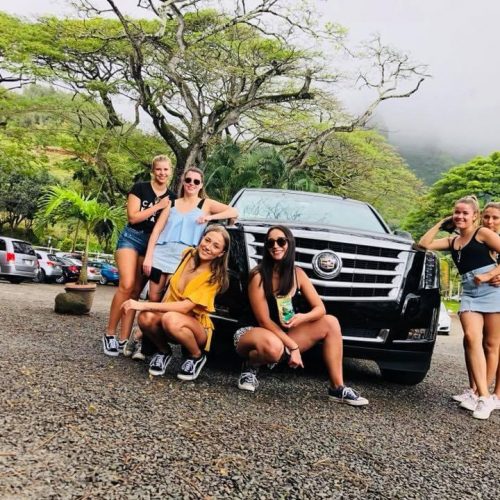 Oahu Luxury Transportation- Island Private Tours