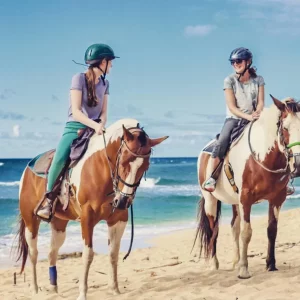 136ae5fb-a301-41dc-b13a-911da4b202ba Private Tour by Trans Luxury Tours Hawaii