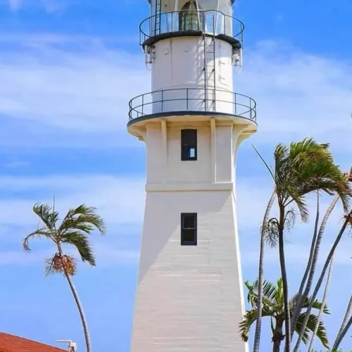 1b46414f-e706-4729-8504-2b40e65ecc3c (1)