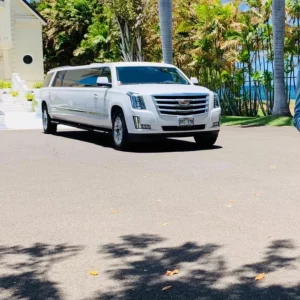 252b442a-eec7-41ac-b80d-9cd8e5793553 Private Tour by Trans Luxury Tours Hawaii