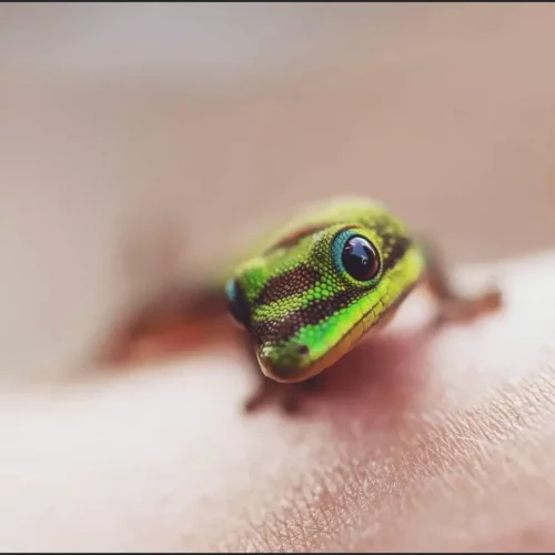 4aa9d333-489e-48a1-b429-b01fd1ec7790 (2)