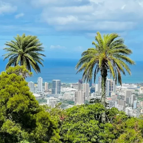 9d693cf4-1495-4cb6-997e-85476b12a9ba (2)