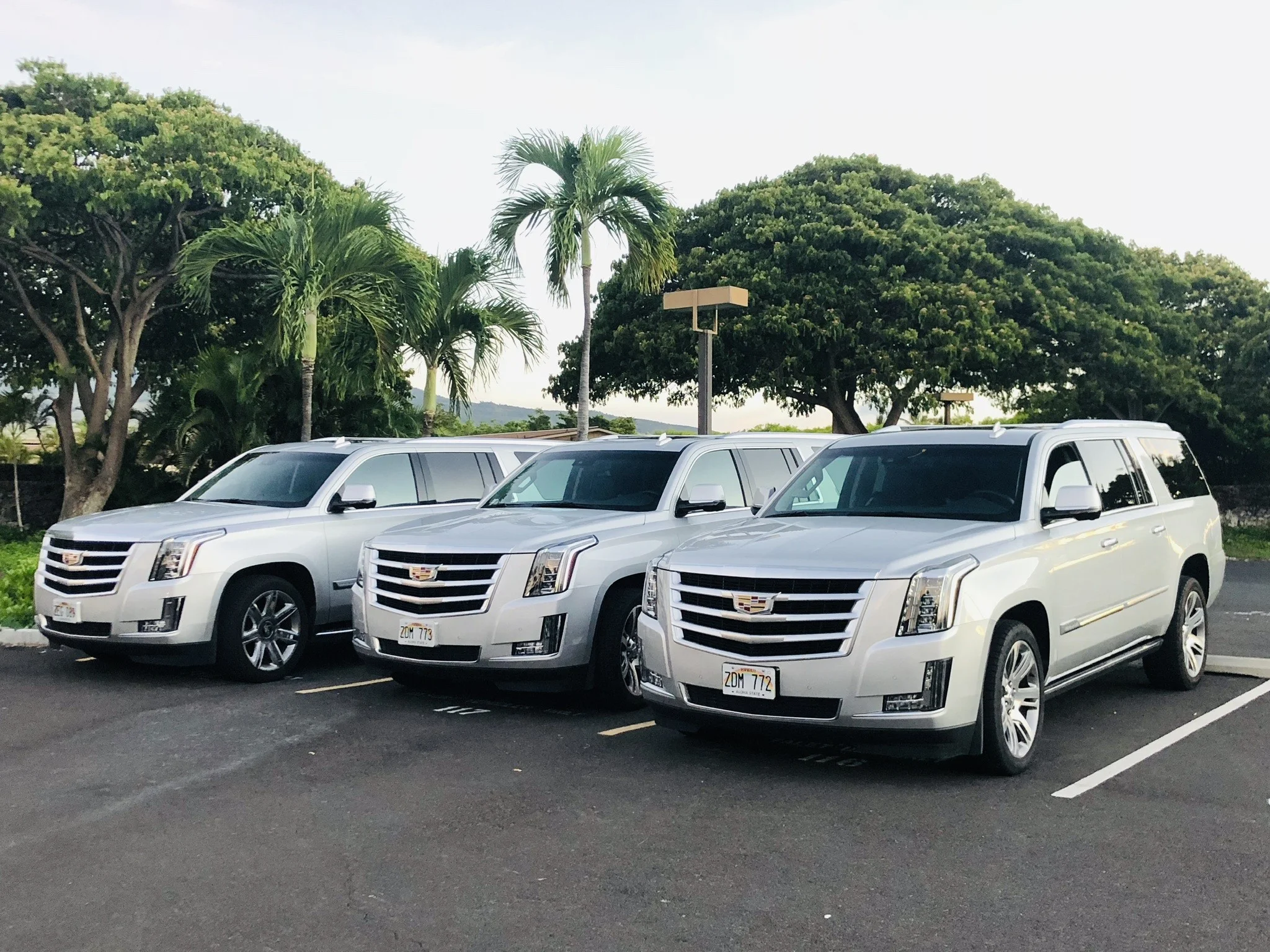 Private & Corporate Transportation