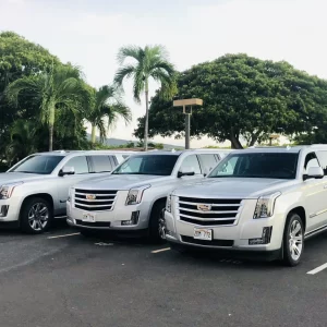 Impress your clients and colleagues with executive-level service. We handle meetings, events, and evening outings with professionalism and punctuality.