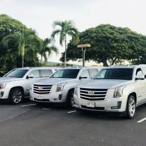 IMG_5550 Private Tour by Trans Luxury Tours Hawaii