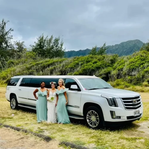 c71e6c13-4aa7-4b2c-a056-35348119dffb (1)