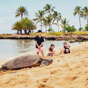 dc9d5b78-abba-44a3-bab3-cb9be1eadf52 Private Tour by Trans Luxury Tours Hawaii