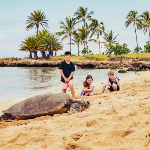 dc9d5b78-abba-44a3-bab3-cb9be1eadf52