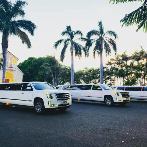 ea54fc44-02ce-45b0-a8fa-ec77916d5c01 (1)