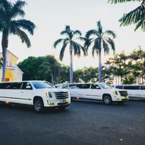 Skip the stress of rideshares and taxis. Enjoy smooth, reliable, and private chauffeur service from Honolulu International Airport to your hotel or residence.