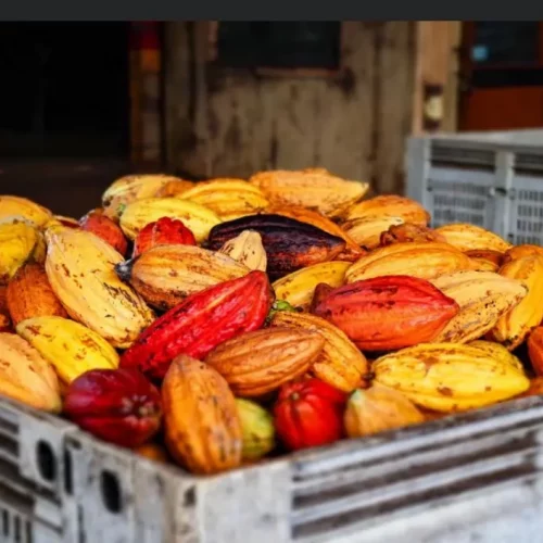 fb5a0c19-403e-43bf-b29d-39bea21a94db